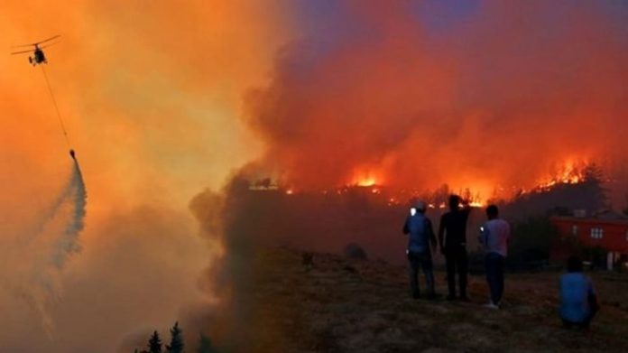 Türkiye’nin ‘ciğerleri’ yanıyor: 7 ilde 13 noktada orman yangını