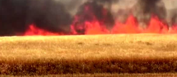 Büyükkonuk-Tuzluca arasında zeytin, şinya ve ardıç ağaçları kısmen yandı