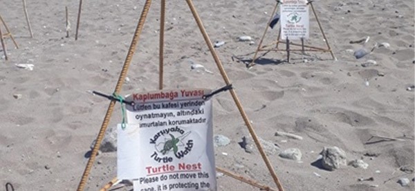 Kaplumbağalarının korunmasına yönelik bir proje hayata geçiriyor