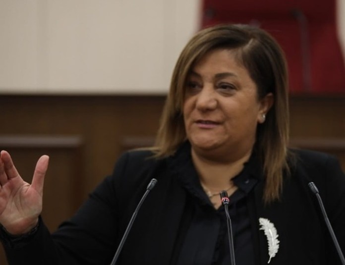 Manavoğlu: “Hükümet Kavga Etmekten Vazgeçip Ülkeyi Yönetmeli”