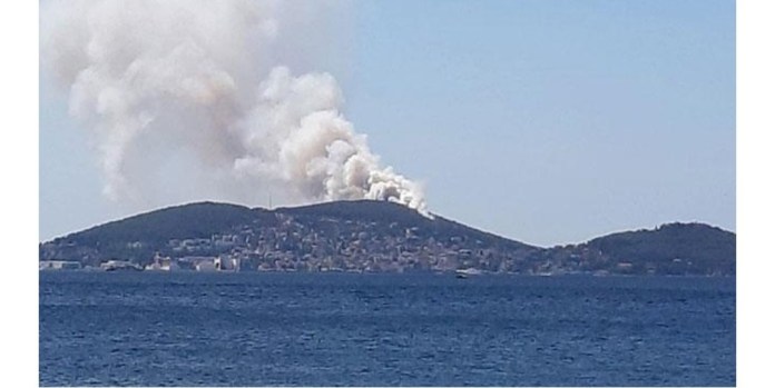 Heybeliada’da ormanlık alanda yangın
