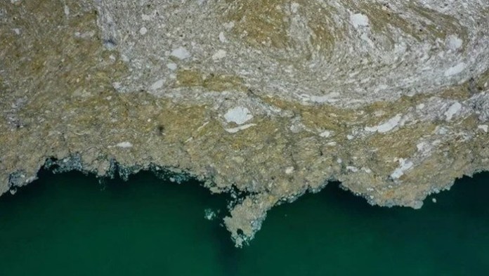 Akdeniz’de bir başka tehlike..! Gittikçe kahverengileşiyor