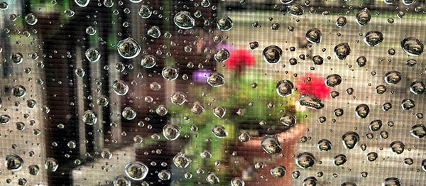 Hafta sonu yağmur bekleniyor