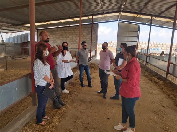 “HELLİM TESCİLİ PROJESİ KAPSAMINDA ÇALIŞMALAR BAŞLADI”