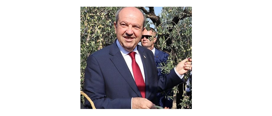 Tatar Altınözü Zeytin Festivali açılışını yaptı
