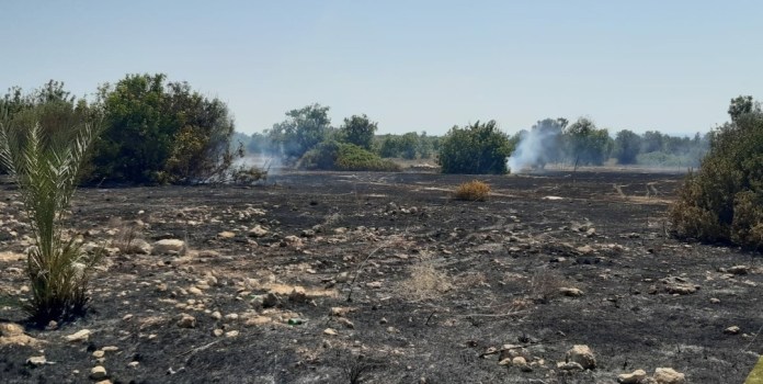 Bafra’daki yangın kontrol altına alındı