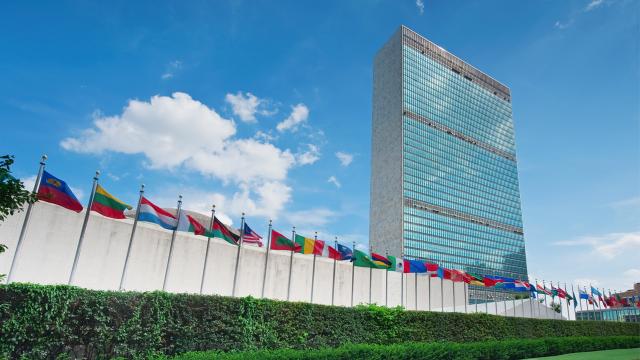 BM 13 Eylül’de “Afganistan için insani yardım konferansı” düzenleyecek
