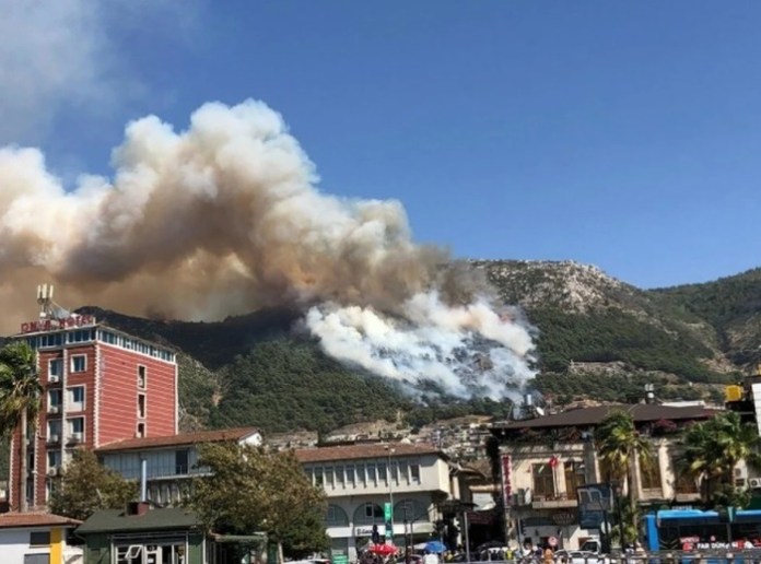 Hatay’da orman yangını çıktı