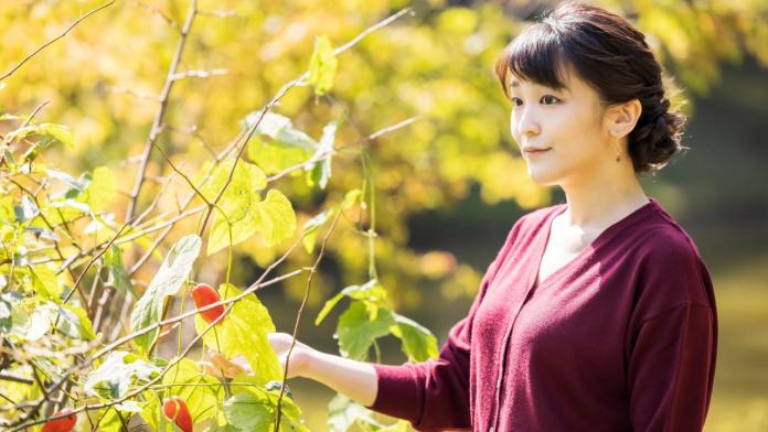 Japon Prenses evliliği öncesi İmparator amcası ile görüştü