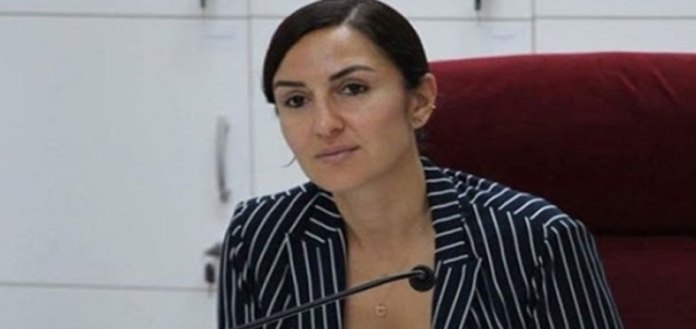HP Milletvekili Rogers, eleştirilerde bulundu