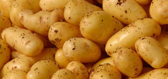 TÜK:Şubelerde sofralık patates satışları devam ediyor