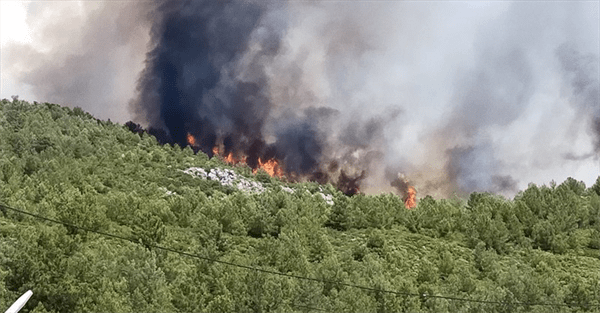 Alevkayası’nda yangın!