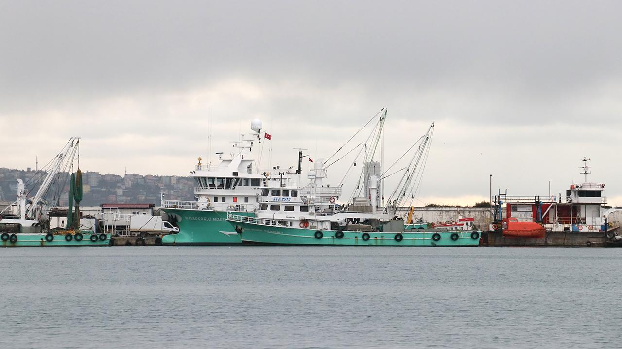 Balıkçılar umudunu Balkanlar’dan gelecek soğuk havaya bağladı