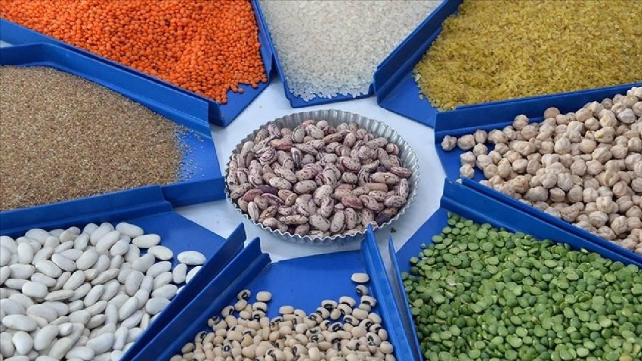 Hububat ve bakliyat ihracatından 9,2 milyar dolar gelir