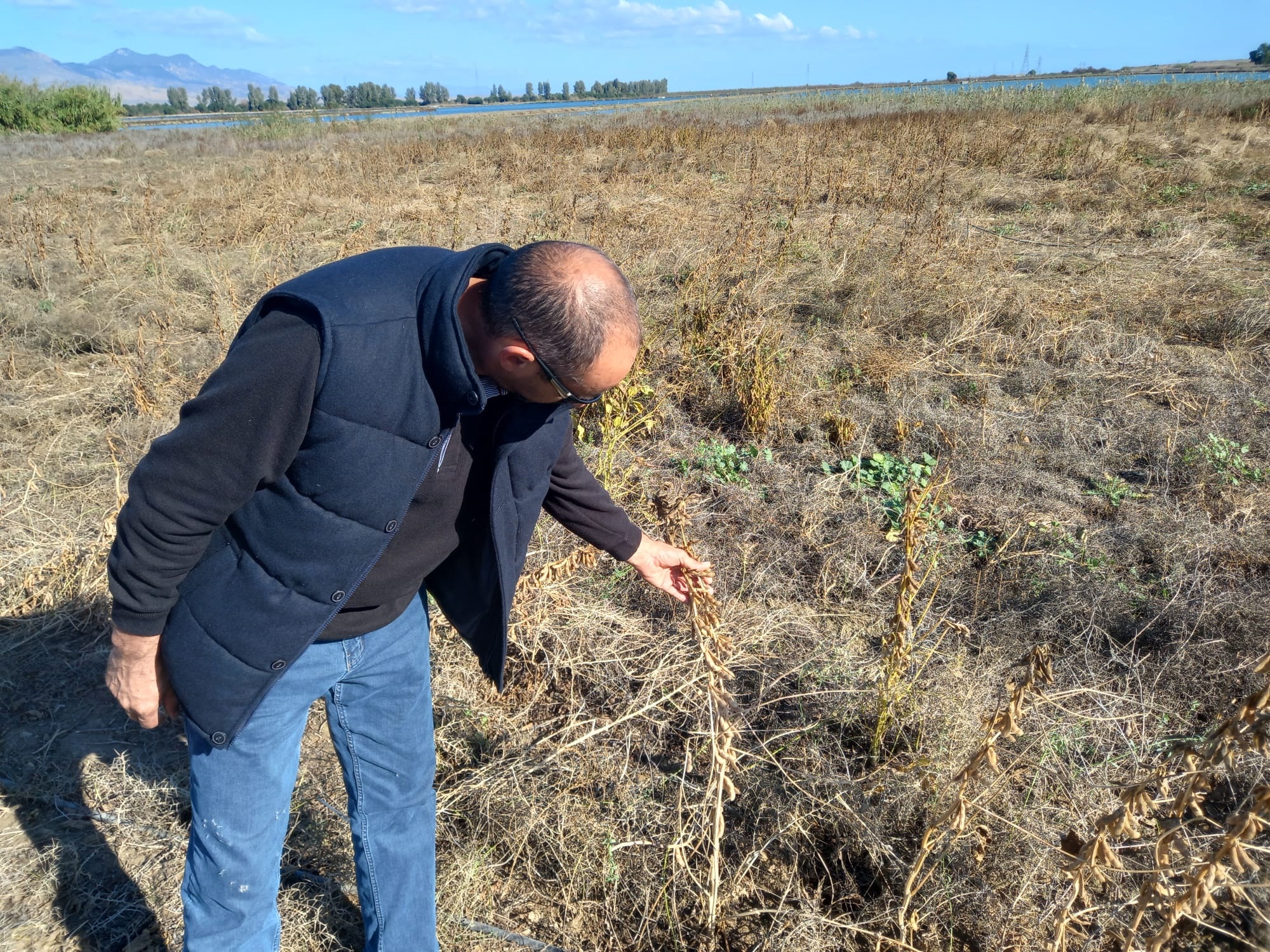 Haspolat’ta Soya Fasulyesi üretimi denemesi başarılı