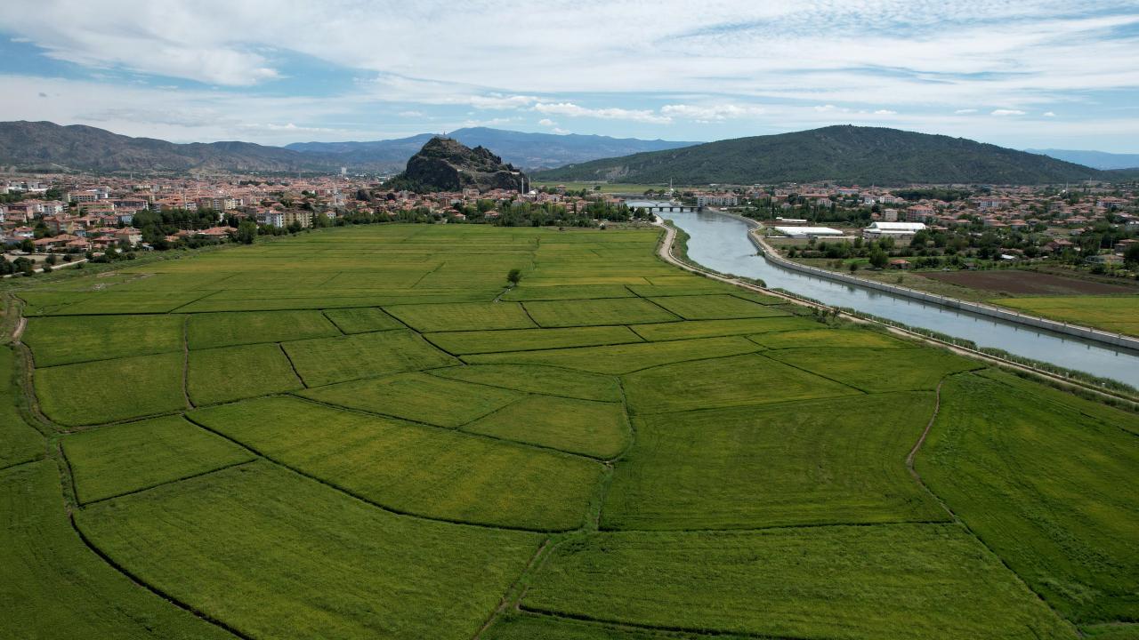 Tarım sezonunda yağışlar geçen yıla göre arttı