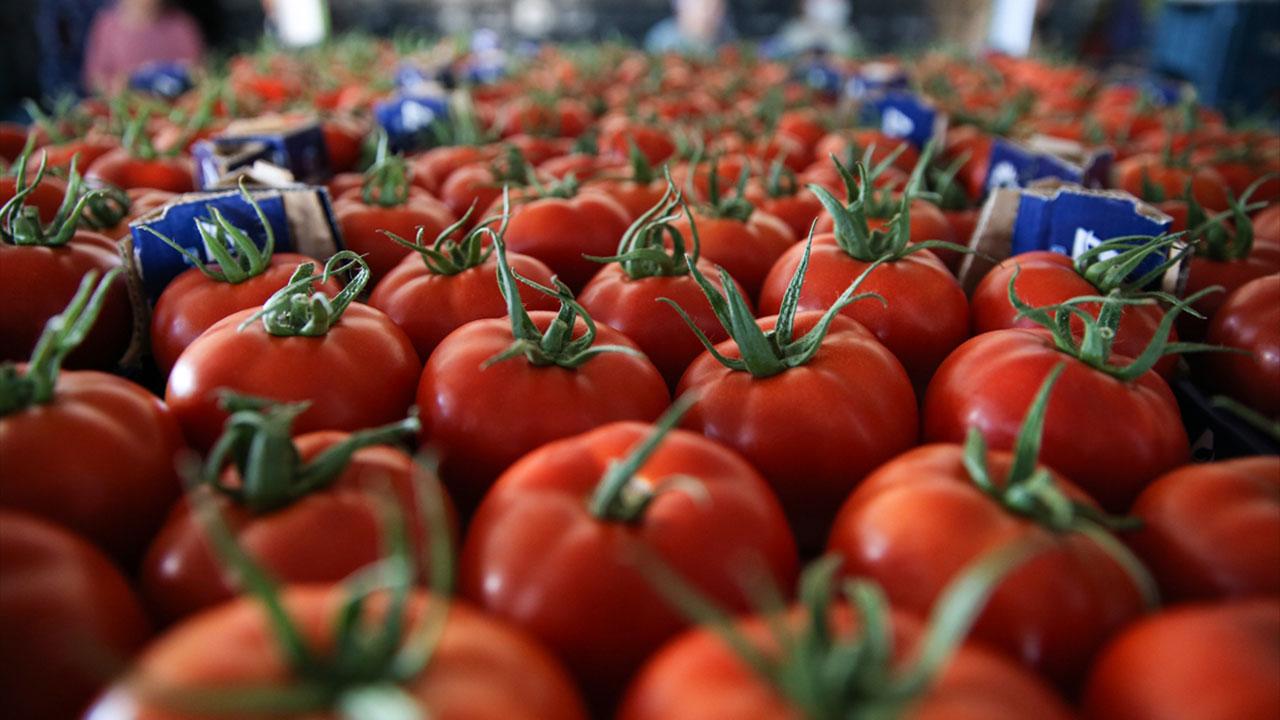 Domates ihracatında hedef 1 milyar dolar