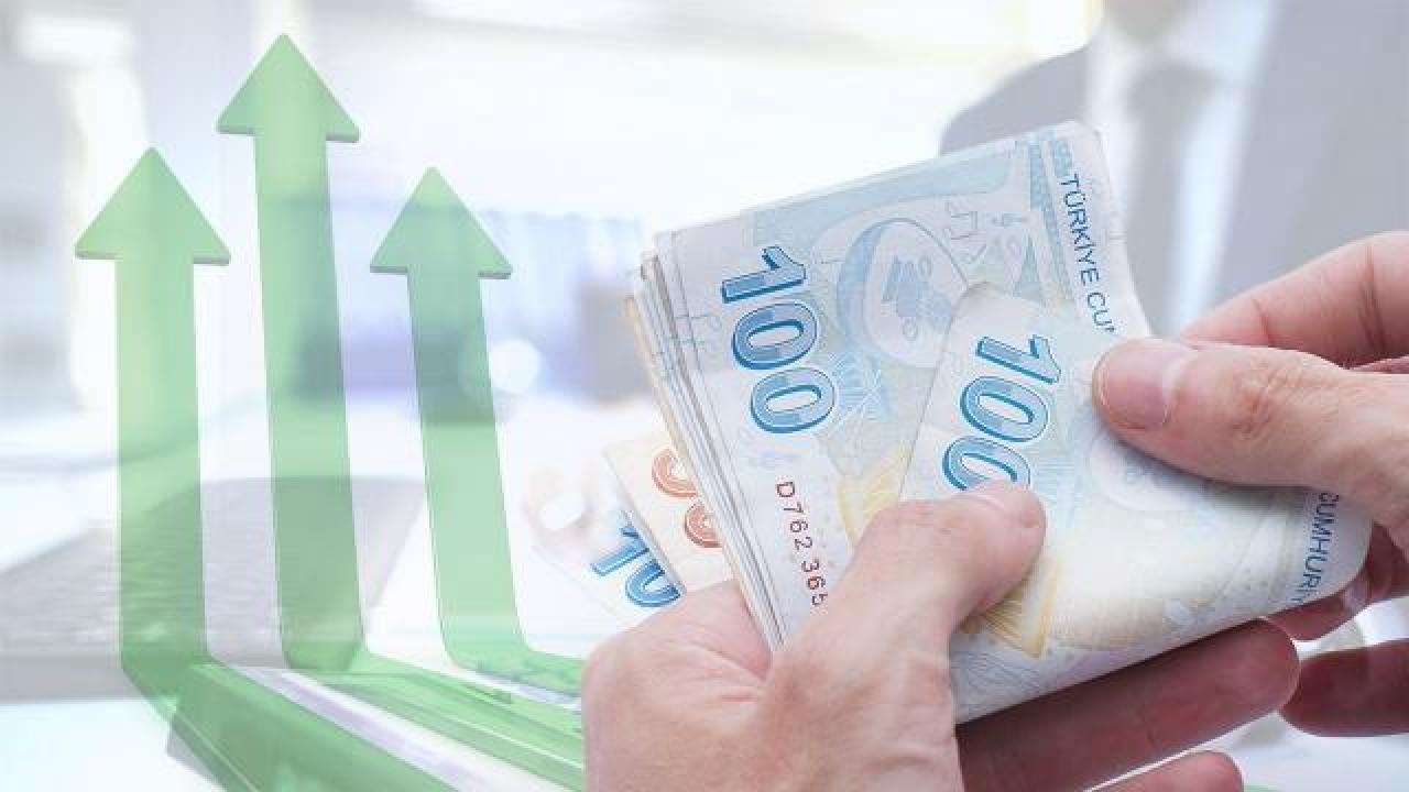 Yerli yatırımcı sayısı rekor kırdı