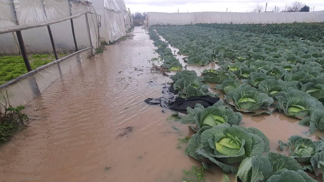 TARSİM çiftçinin kara gün dostu oldu