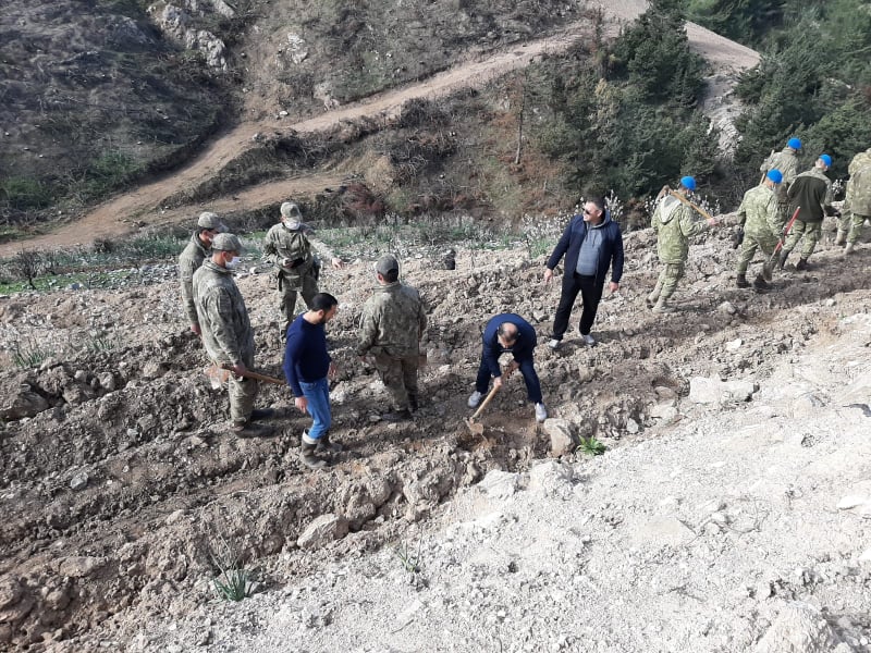 Karşıyaka’da Temmuz ayında yanan ormanlık alan yeniden yeşillendiriliyor