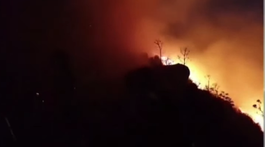 Mersinlik Muhtarı Şeker: Yangın köyün güney tarafında daha yoğun