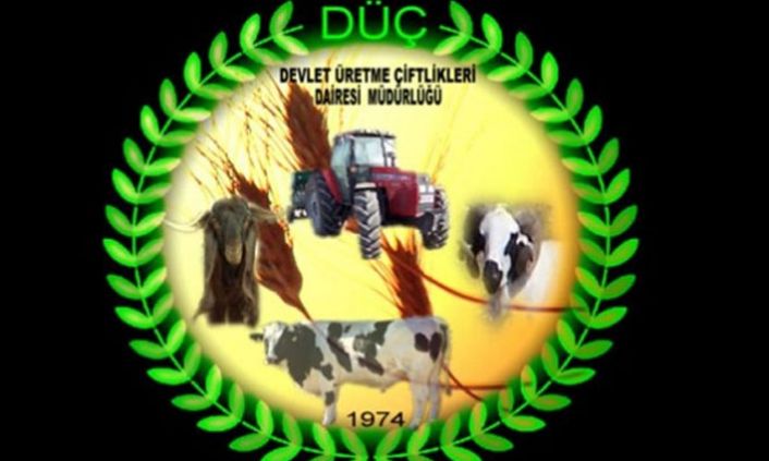 DÜÇ’ten kasaplık hayvan satışı duyurusu