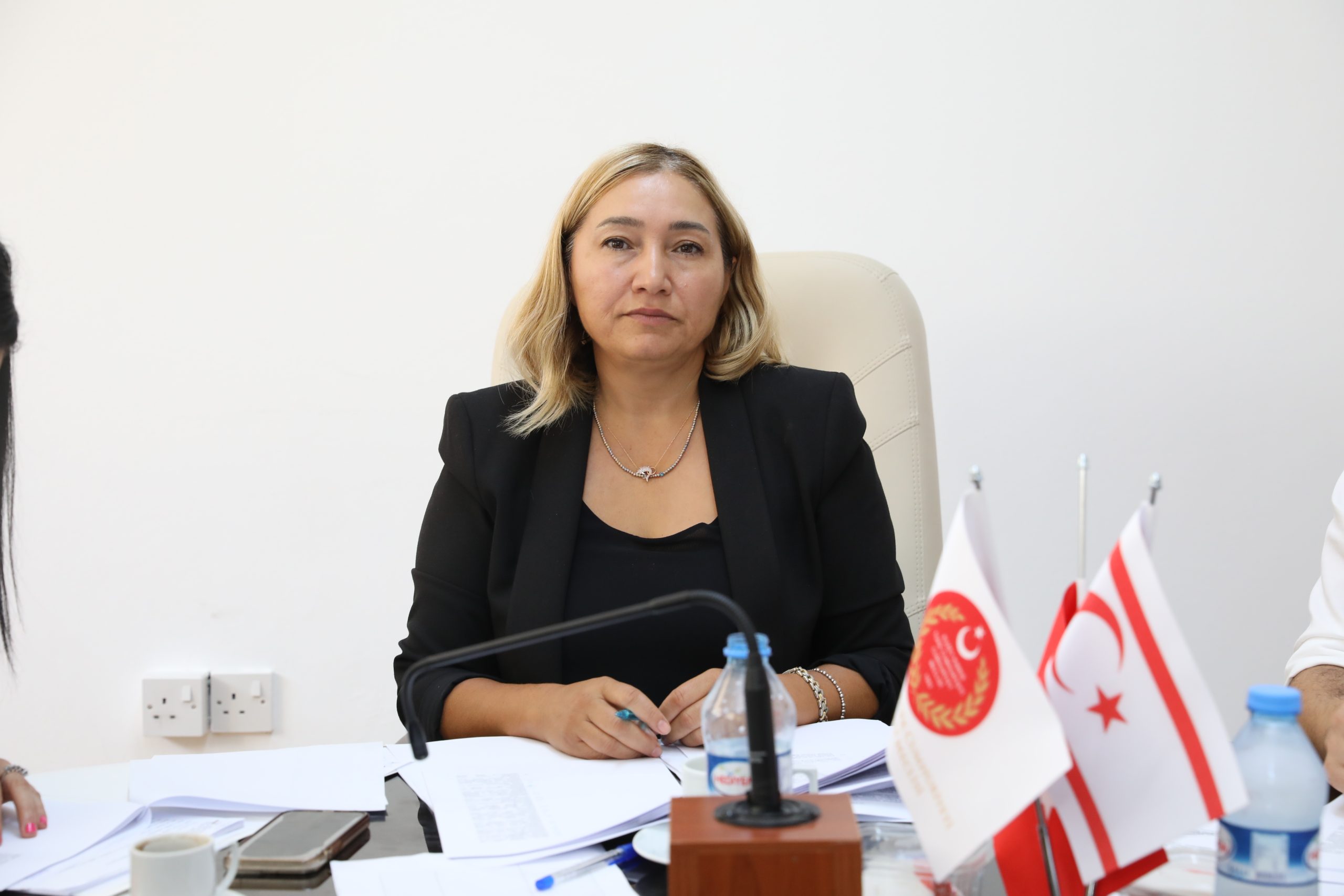 “Kamu ve Özel Radyo ve Televizyonların Kuruluş ve Yayınları (Değişiklik) Yasa Tasarısı” bugün de komitede görüşüldü