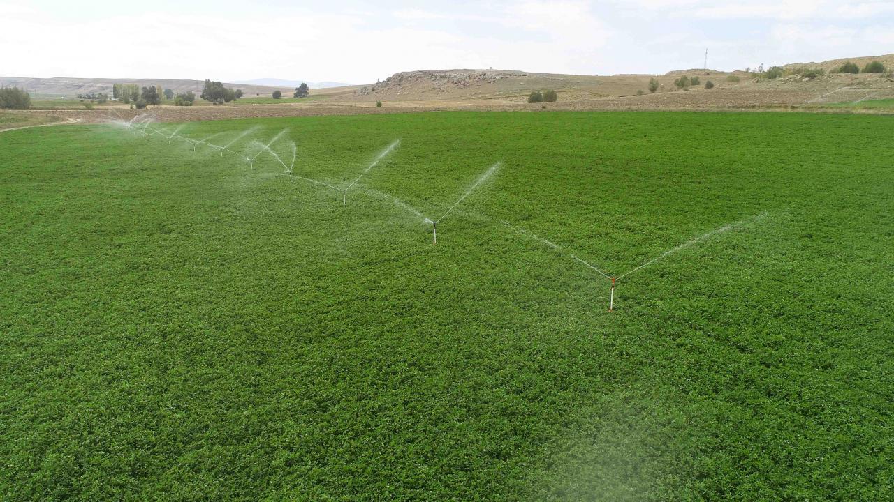Tarımda elektrik bedelleri için kredi sağlanacak