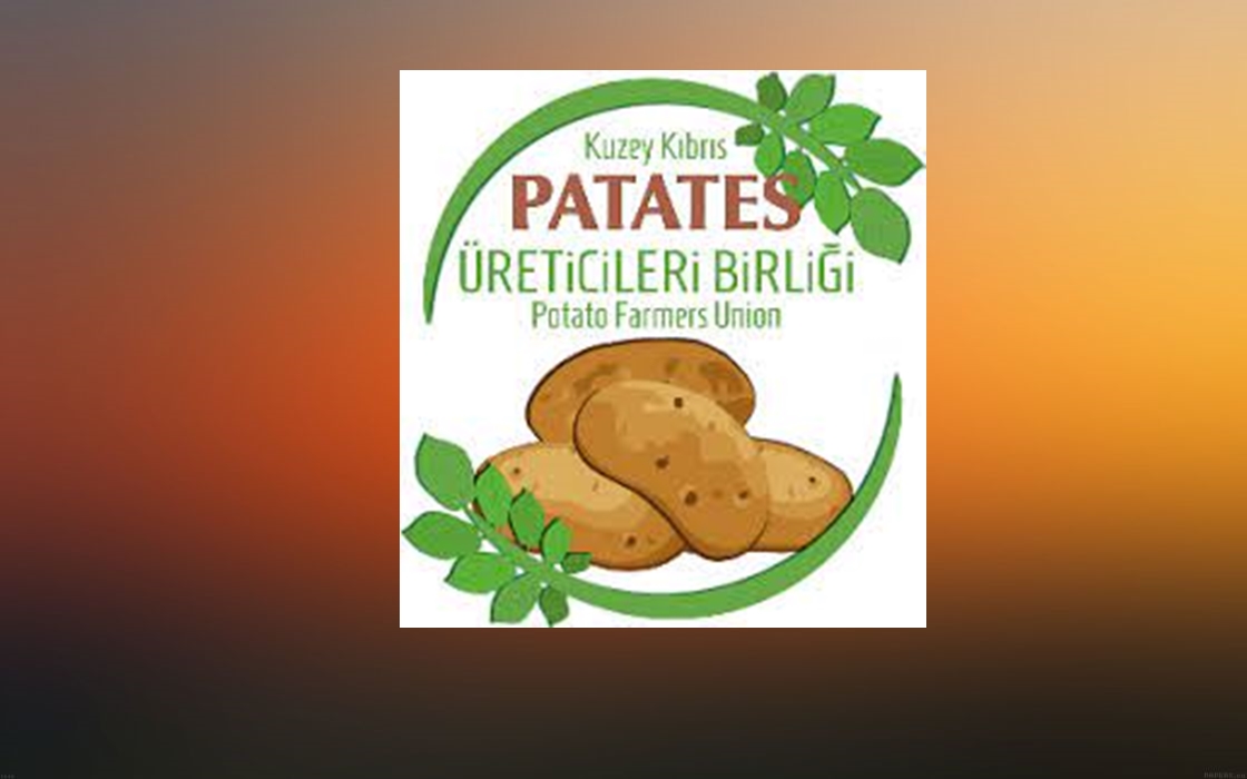 Patates Üreticileri Birliği, sanayi tipi patates üretiminin geliştirilmesinden yana olduklarını açıkladı