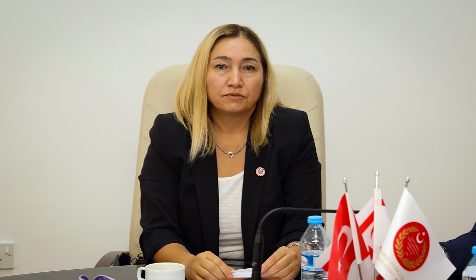 Hukuk Komitesi Hafız Hüseyin Şiraz (Hacer) Vakfı’na İlişkin Karar Tasarısı”nı onaylayarak Genel Kurul’un gündemine sevk etti