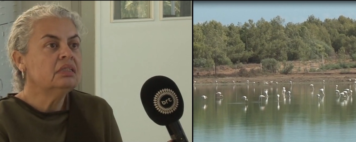 Yaşamın destekleyicisi ‘Sulak Alanlar’