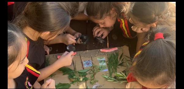 Yeşil Bilezik Çevre Okuryazarlığı Eğitimleri ilkokullarda uygulanıyor