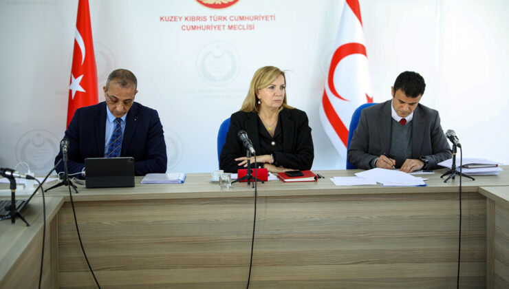 Meclis Ekonomi, Maliye, Bütçe ve Plan Komitesi Kamu İhale (Değişiklik) Yasa Tasarısı’nı onayladı