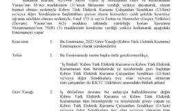 Bakanlar Kurulu Elektrik Kurumu’ndaki grevi yasakladı