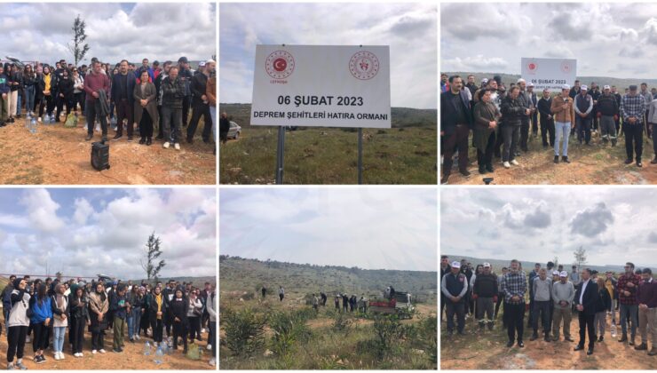 “Her Fidan Bir Can”:Depremde hayatını kaybedenler için Kalkanlı’da bin fidan dikildi