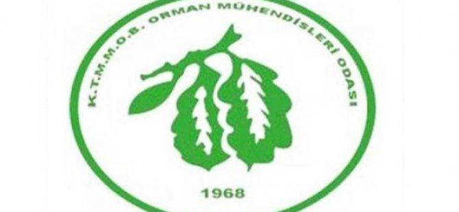 OMO orman açısından daha kötü bir noktaya gelindiğini savundu