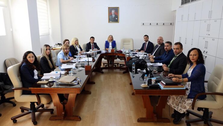 Hukuk, Siyasi İşler ve Dışilişkiler Komitesi, “Dijital Dönüşüm ve Elektronik Devlet İdaresi” yasa önerisini görüştü
