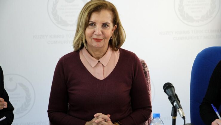 Ekonomi, Maliye, Bütçe ve Plan Komitesi, “Kuzey Kıbrıs Muhasebe ve Denetim Meslek Yasa Tasarısı”nı görüştü – BRTK